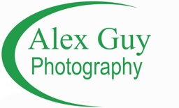 alexguy-guy